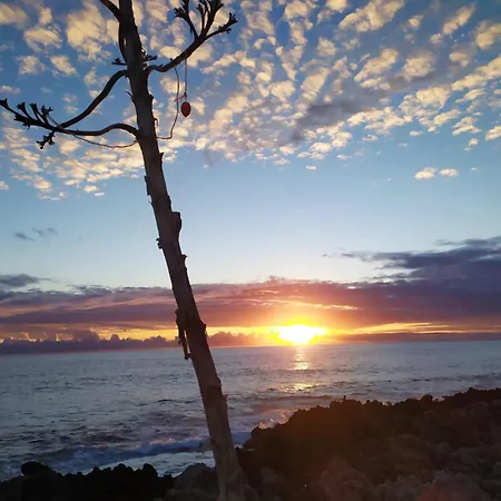 Daire Strandhaus 2 Og